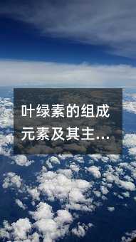 叶绿素的组成元素及其主要吸收的光