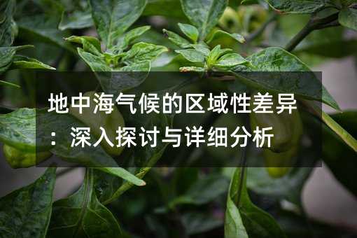 地中海气候的区域性差异:深入探讨与详细分析