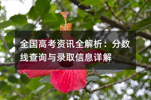 全国高考资讯全解析:分数线查询与录取信息详解