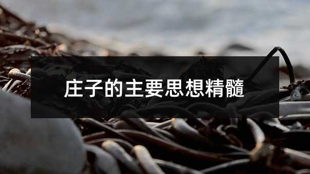 庄子的主要思想精髓