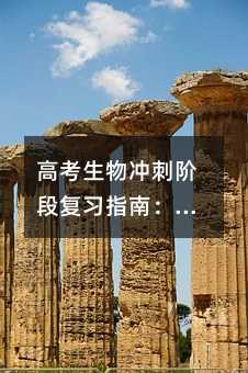 高考生物冲刺阶段复习指南:科学策略与高效方法