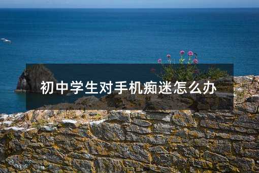 初中学生对手机痴迷怎么办