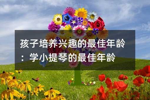 孩子培养兴趣的最佳年龄:学小提琴的最佳年龄