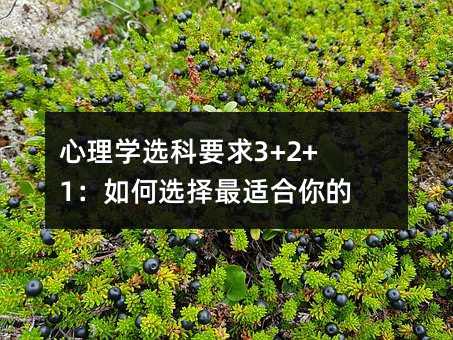 心理学选科要求3+2+1:如何选择最适合你的科目