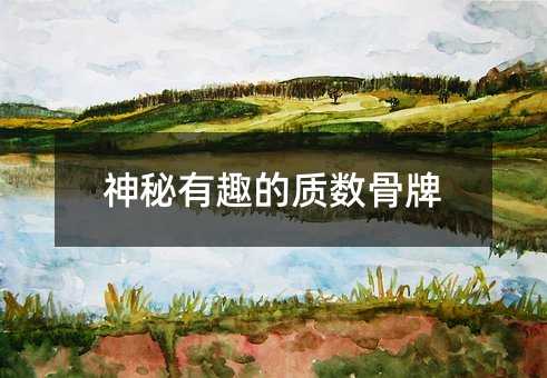 神秘有趣的质数骨牌