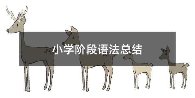 小学阶段语法总结