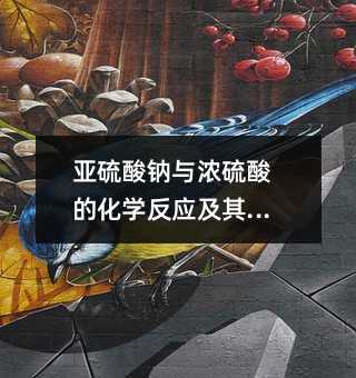 亚硫酸钠与浓硫酸的化学反应及其现象