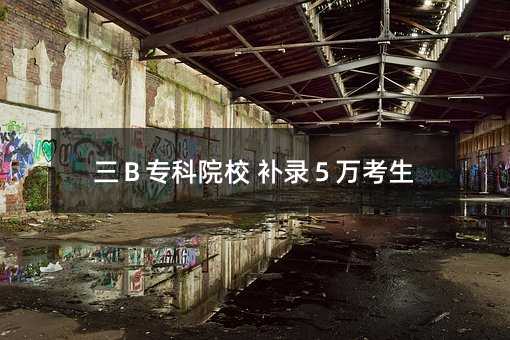 三B专科院校 补录5万考生