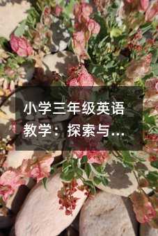 小学三年级英语教学:探索与实践