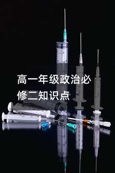 高一年级政治必修二知识点