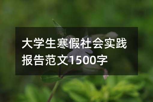 大学生寒假社会实践报告范文1500字