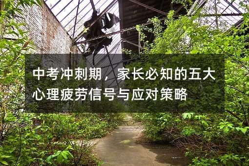 中考冲刺期,家长必知的五大心理疲劳信号与应对策略