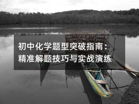 初中化学题型突破指南:精准解题技巧与实战演练
