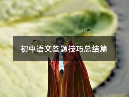 初中语文答题技巧总结篇