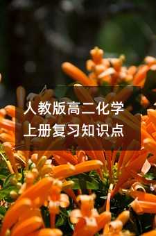 人教版高二化学上册复习知识点
