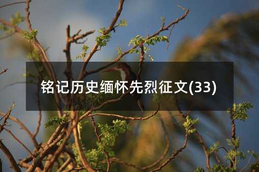 铭记历史缅怀先烈征文(33)