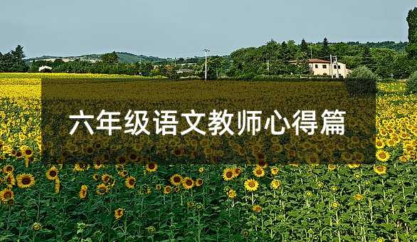 六年级语文教师心得篇