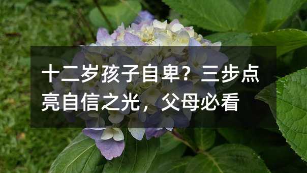 十二岁孩子自卑?三步点亮自信之光,父母必看