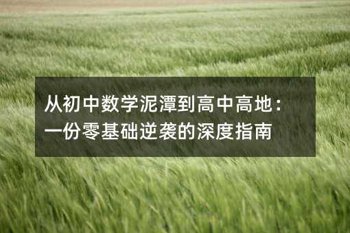 从初中数学泥潭到高中高地:一份零基础逆袭的深度指南