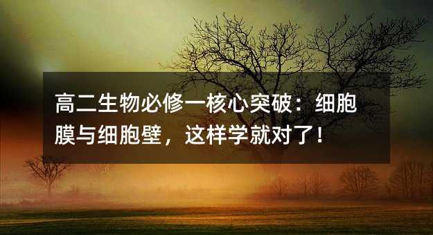 高二生物必修一核心突破:细胞膜与细胞壁,这样学就对了!