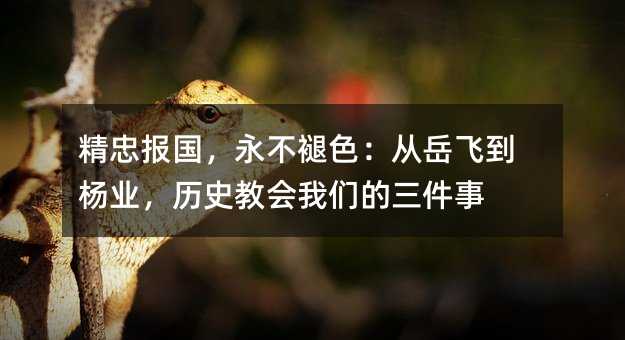 ���ұ�����������ɫ�������ɵ���ҵ����ʷ�̻����ǵ�������