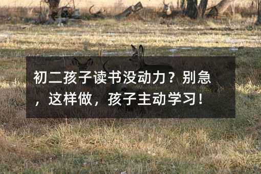初二孩子读书没动力?别急,这样做,孩子主动学习!