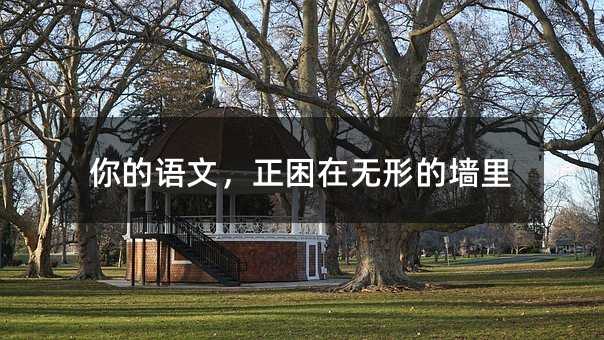 你的语文,正困在无形的墙里