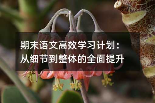 期末语文高效学习计划:从细节到整体的全面提升