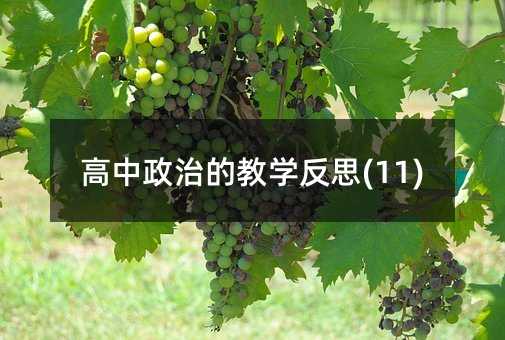高中政治的教学反思(11)