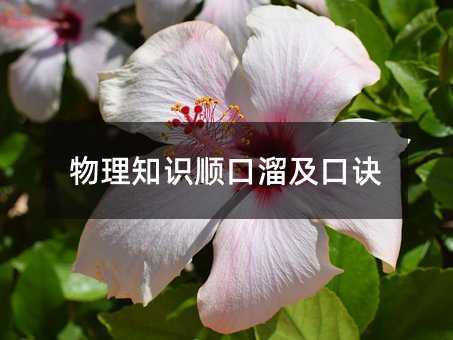 物理知识顺口溜及口诀