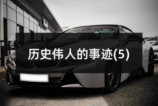 历史伟人的事迹(5)