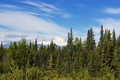 ��������������ѧϰ��Ȥ