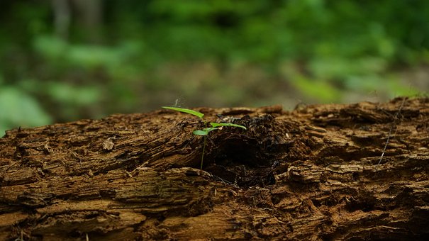 ��������ѧϰָ�ϣ����Ѻ������ĵ�̽����