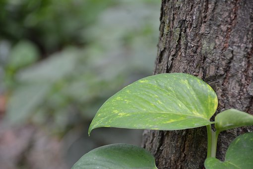《别让作业破坏亲子关系!清华家教分享3个“沟通神器”,中学生家长亲测有效》