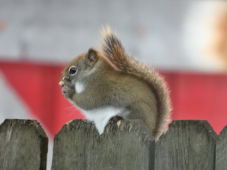 数学成绩总是上不去?抓好这五大能力与四个习惯,才是提分的关键!