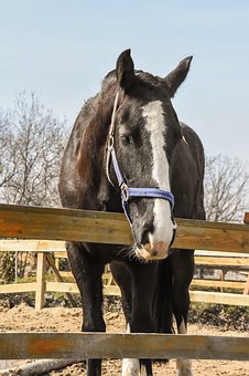 ��ѧѧϰ����(1)