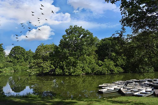 告别数学恐惧症:高中数学这几块“黄金阵地”,是你逆袭的必经之路