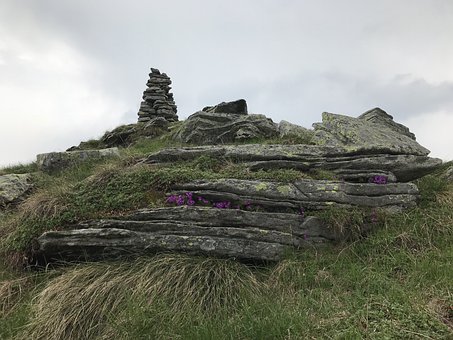 语文课的“多快好省”:一种对课堂极简主义的深情呼唤